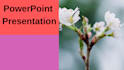create a powerpoint presentation on research and  business