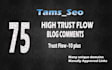 do 75 high trust flow blog comments backlinks