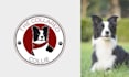 design pet logo for dog walking, cat business, pet sitting, vet doctor, or farm