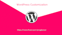 customize wordpress premium theme