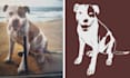 convert photo to silhouette conversion