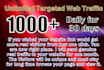 send targeted unlimited traffic for 30 days