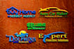 do professional business logo design