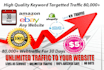 provide unlimited web traffic to any website blog affiliate shopping