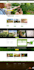 create interactive websites with ecommerce 100usd