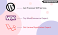develop wordpress,  php, laravel website