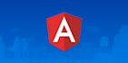 create a professional angular website and web application
