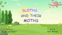 create a childrens adventure book promo video