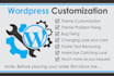 do wordpress theme or plugins customization,changes and redesign wp website