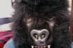 my gorilla mask will say anything
