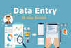 fast data entry, copy paste, web search and data entry excel