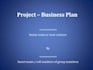 draft business plans and business projects