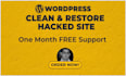 do wordpress malware removal and security setup
