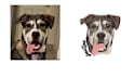 design logo and embroidery digitizing