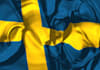 professionally translate Swedish and English texts