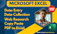 do data entry, data collection, pdf to excel, copy paste, web research