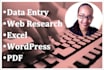 do data entry, excel, web research, wordpress, PDF