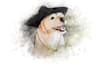 draw realistic portrait cat , dog , animal or any pets in watercolor