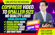 professionally compress and convert your videos to mp4 fast