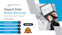 professional data entry, web research and copy paste tasks