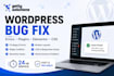 fix wordpress bugs, errors, and website issues