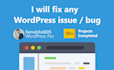 fix any issue in your website within 24 hours