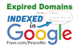 find 5 expired domains indexed in google