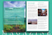 design book, magazine using indesign or canva