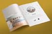design amazing brochure, catalog with adobe indesign