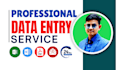 do data entry, copy paste, data scraping, email leads, pdf to excel data entry