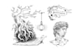 create super stunning line art illustration
