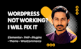 do wordpress maintenance, elementor and performance specialist