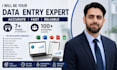 do accurate data entry in excel, PDF to excel, and copy paste