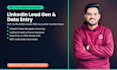 do linkedin lead generation,data entry and internet research