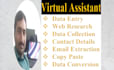 do data entry, virtual assistant, copy paste work