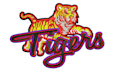 do professionally digitize your logo for embroidery within 01 hour