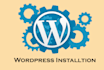 design and develop wordpress website