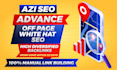 do 100 da 50 offpage SEO diversified mix backlinks