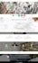 create responsive and mobile friendly wordpress website
