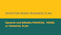 make business plan financial plan and financial model