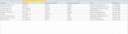 cpa, certified public accountant email list