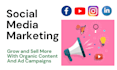 be your professional social media manager and marketer