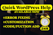 do wordpress help and fix wordpress errors, issues quickly
