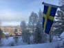 professionally translate your english text into swedish