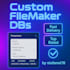 develop, customize filemaker databases