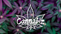 create any kind of graphic design for cannabis business