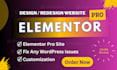 professional responsive website design HTML CSS  wordpress
