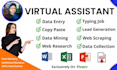 do data entry, web research, typing, excel data entry