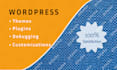 do wordpress website development themes, plugins customization, debugging