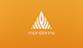 create a modern logo design